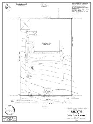 Sample Topographic Survey