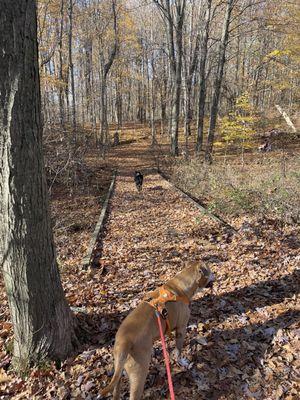 Prairie Wolf Park