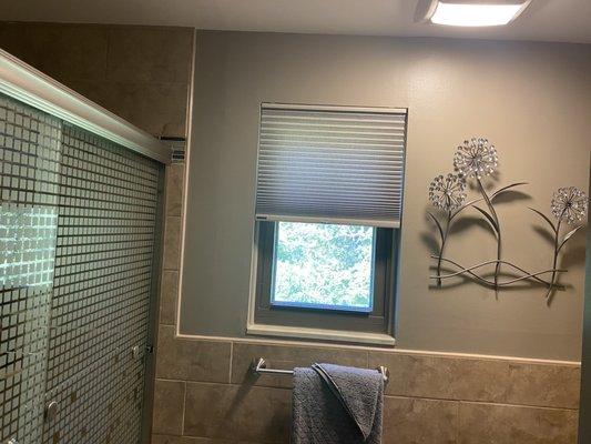 Master bath window shade!