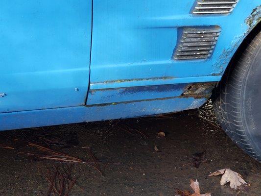 Rear quarter panel rust - I'm changing this out for a  fiberglass panel anyways