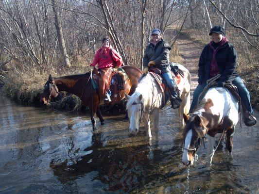 Cooling off in the Creek