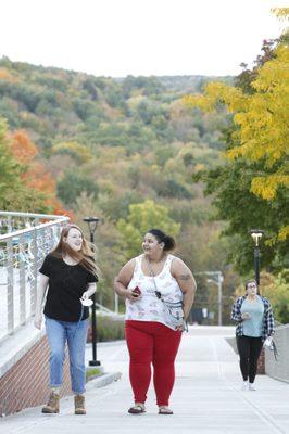 Fall foliage on the hill at Hartwick College.