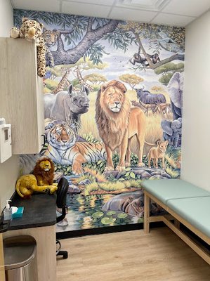 Sachse Pediatrics' Safari themed exam room!