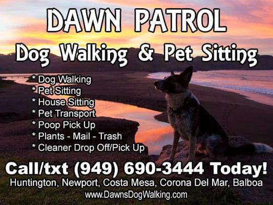 Dawn's Dog Walking & pet Sitting