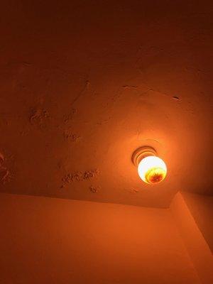 Mold & water build up in our overhead light. Took over a week for ICM to even respond to