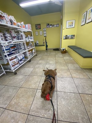 Archie Kleopfer, DVM - Kleopfer Veterinary Care Clinic