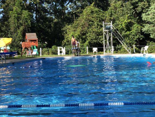 An oasis in Hillandale, Maryland. Swimming pool, volleyball, basketball.