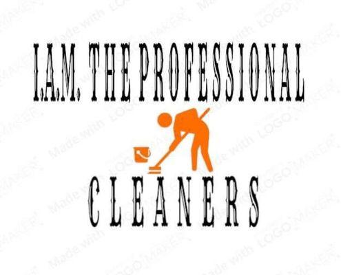 I ayala minnick the professional cleaners logo