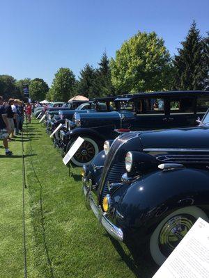 Stately automobiles lined up