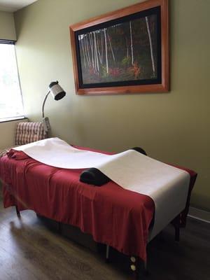 Main room- where the patients receive assessment and treatments.