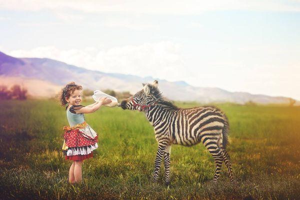 First photo shoot with baby zebra.