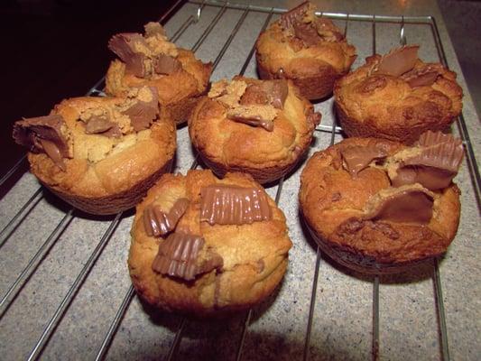 Peanut Butter Cookie Cup