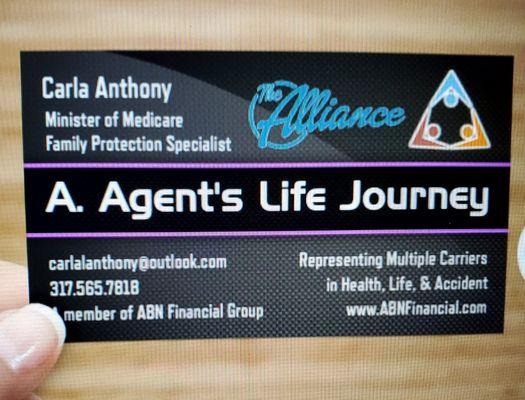 A  Agent's Life Journey