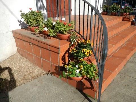 Flowers on Front Entry