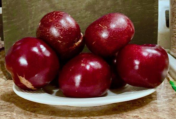 santa rosa plums: exceptionally rare these days.
 absolutely the best plum!