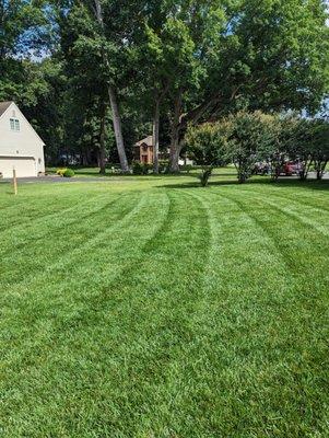 Lawn stripping