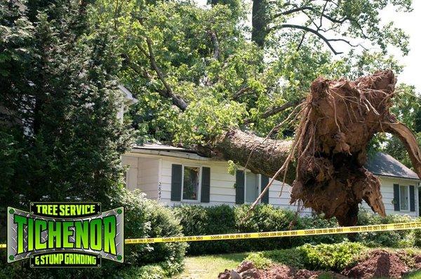 Tichenor's Lawn Care & Tree Service