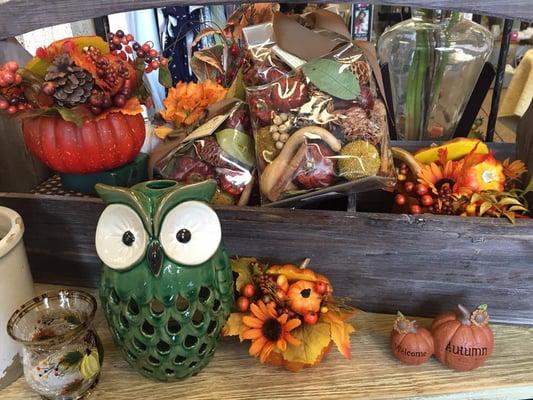 Fall Display At Oregon Hometown Pharmacy