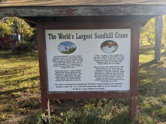 Sandy, the World's Largest Sandhill Crane