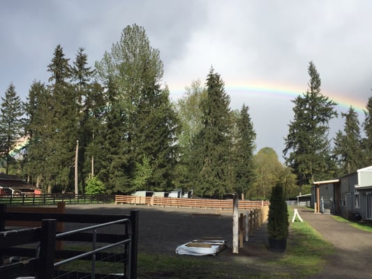 The outdoor arena and some of the horse paddocks