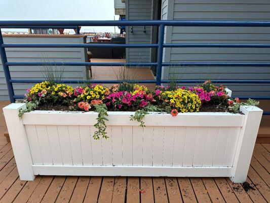 Commercial container planting