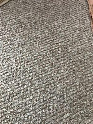 Family Room Berber Carpet, wet but so clean!