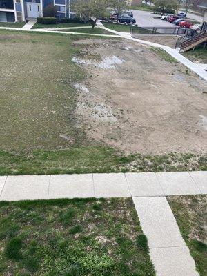 This mud puddle makes a lake sometimes in the courtyard