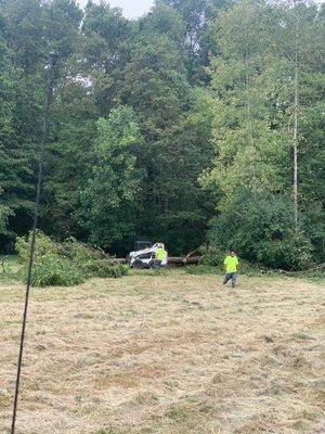 Bobcat at work