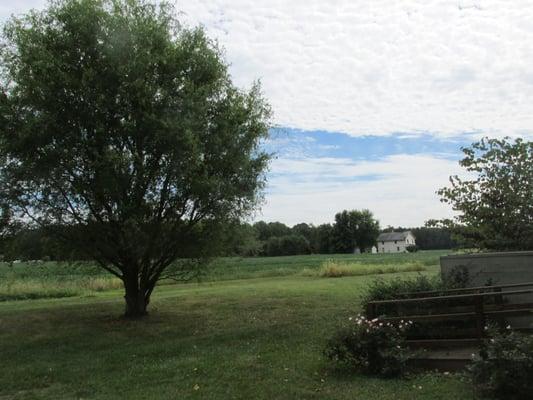 view into the fields nearby