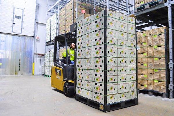 Forklift Operator moves product into cold room.