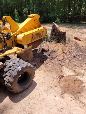 Stump Rescue grinding stumps in Sharpsburg Ga