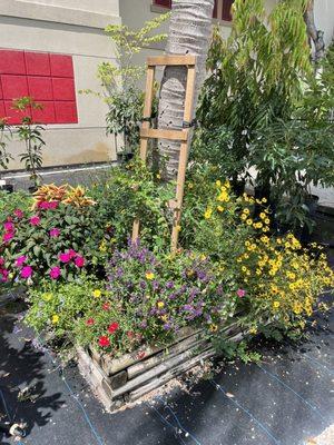 Wildflower bed in the back of the store.