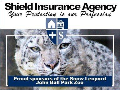 Shield Insurance Agency sponsors the Snow Leopard at the John Ball Park Zoo.