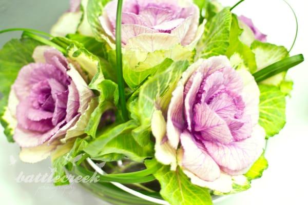 Our favorite salon flower is Flowering Kale!