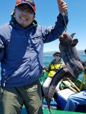 Owner said it was the 4th ever he has ever seen caught and it was the largest one