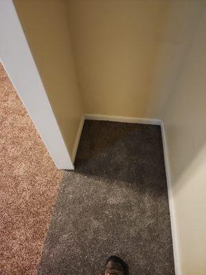 Finished carpet install