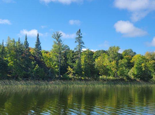 Little Sand lake... can you spot the bald eagle?