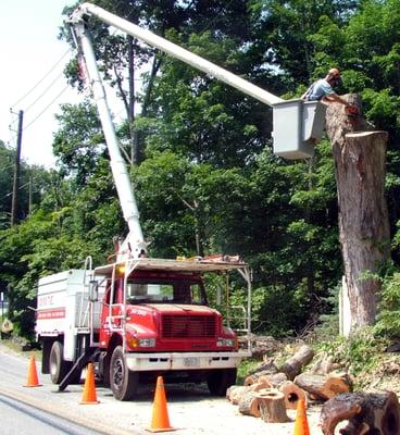 Prompt, professional tree care throughout Westchester & Western Connecticut since 1972