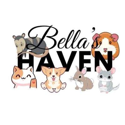 Bella’s haven animal rescue