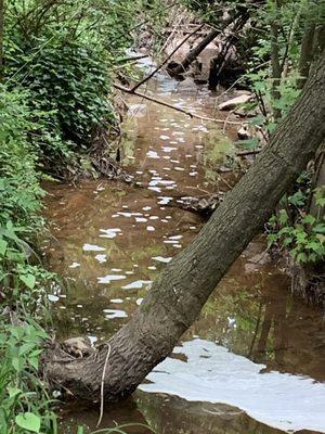 More suds and toxic waste on any given day. Teresa so proudly told me they have been doing this since 1977!