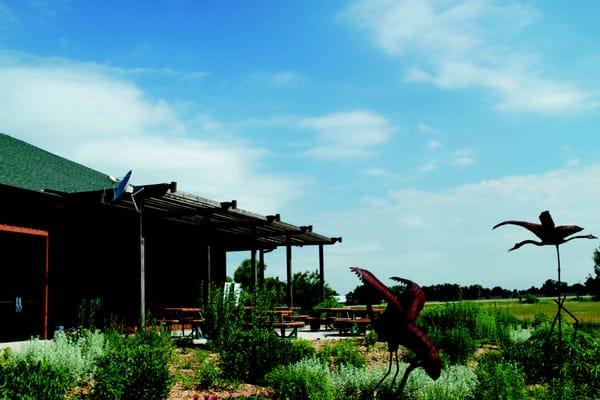 The butterfly garden behind the Crane Trust Nature & Visitor Center is the perfect place to relax and enjoy a picnic.