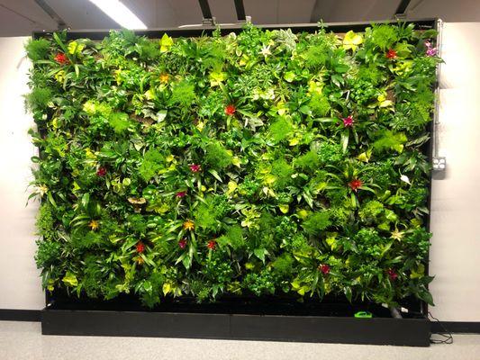 Eco Brooklyn Living Walls