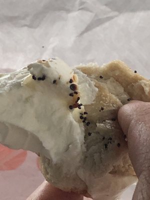 Bagel and cheese cream