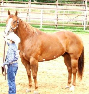 World Champion Buckle guy