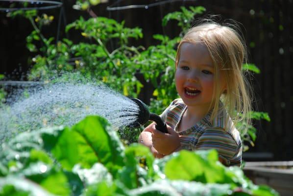 Gardening at Arcadia