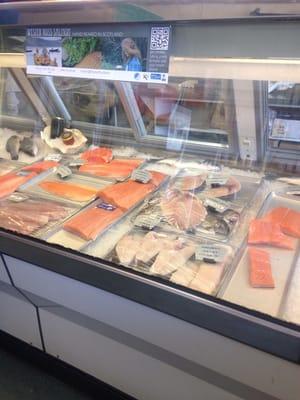 Fresh fish selection