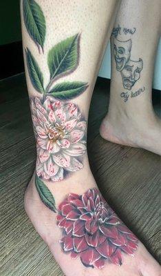 Healing Dahlia with leaves