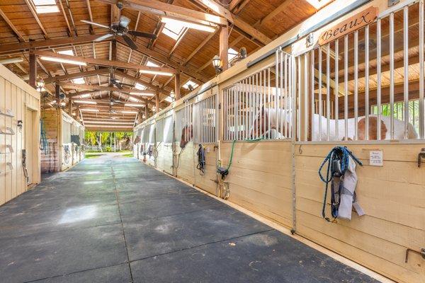 17 Stall Barn in Palm City Farms