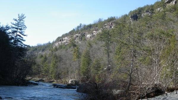 View from river below Lilly Bluff looking south.  There are some great swimming holes here.