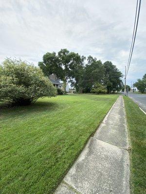 Love a good green lawn especially with stripes.